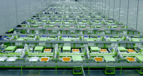 馬建榮與申洲國(guó)際 以熱愛(ài)為引擎，智造全球服飾“世界工廠”