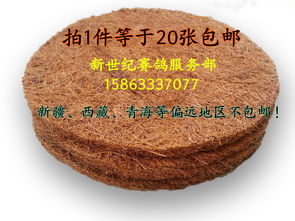 棕墊21cm與0.8cm防潮墊 品質(zhì)生活的雙重守護